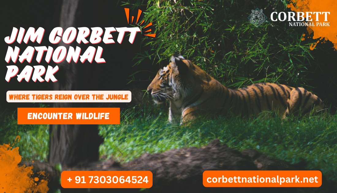 Luxurious five-star resort near Jim Corbett surrounded by greenery and wildlife